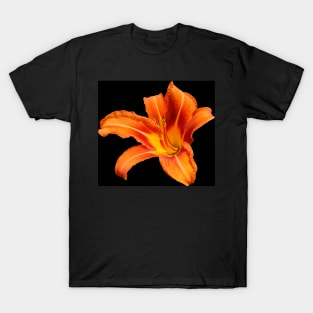 Orange Lily T-Shirt